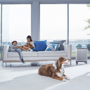 Coway France