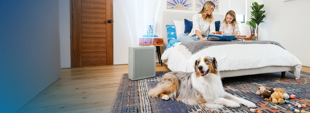 Un air plus pur
pour tous à la maison