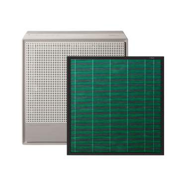 Filtres pour l'Airmega 250 et 250s